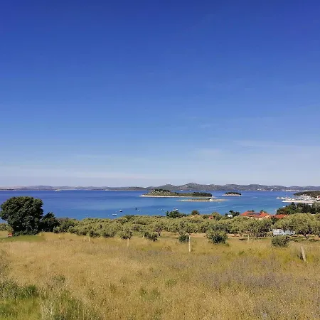 2 Punta