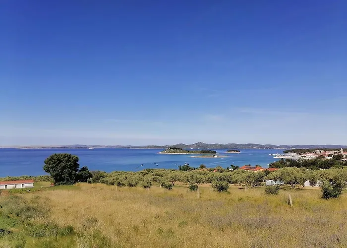 2 Punta